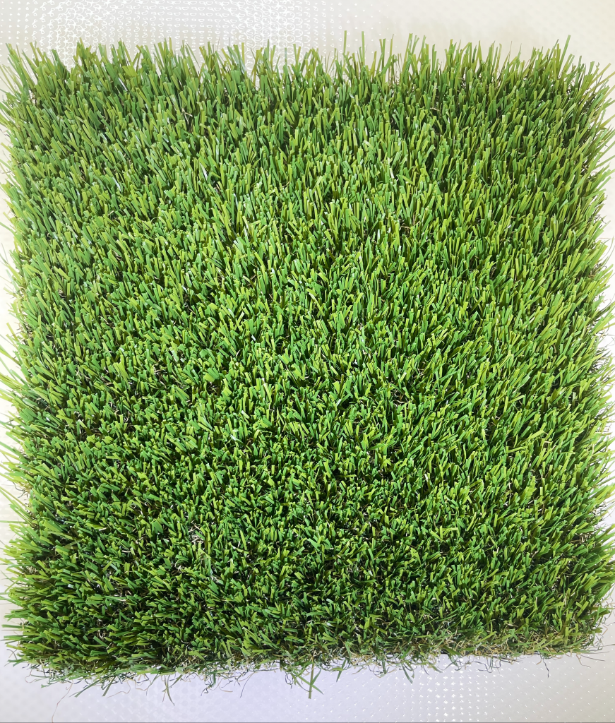 Always Green Carmel